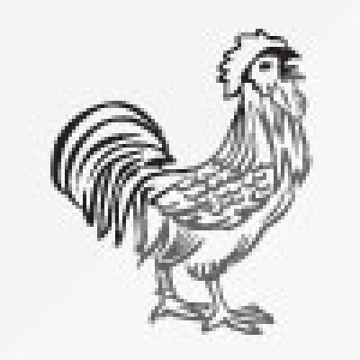 मंगोल नेशनल अर्गनाइजेसन